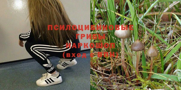 a pvp Алзамай