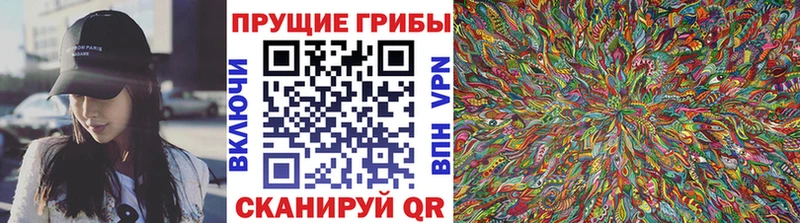 Псилоцибиновые грибы мухоморы  Кадников 